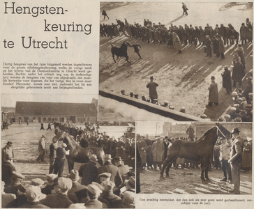 874761 Collage van 3 foto's betreffende de hengstenkeuring op het terrein van de Damlustkazerne (Mineurslaan 4) te Utrecht.